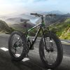 S26109 Elecony 26 Inch Fat Tire Bike Adult/Youth Full Shimano 21 Speed Mountain Bike, Dual Disc Brake, High-Carbon Steel Frame, Front Suspension, Moun