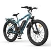 AOSTIRMOTOR S07-F 26" 750W Electric Bike Fat Tire P7 48V 13AH Removable Lithium Battery for Adults with Detachable Rear Rack Fender New Model