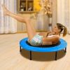 Foldable Exercise Trampoline