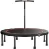 Mini Trampoline for Adults;  Safety Indoor Rebounder Trampoline for Kids;  Folding Small Trampoline with Storage Bag for Home Exercise Fitness;  Max L