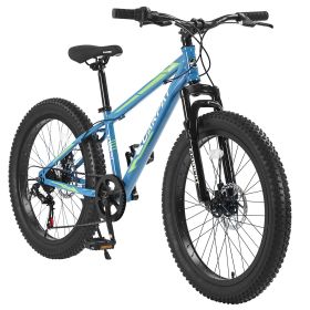 S24109 Elecony 24 Inch Fat Tire Bike Adult/Youth Full Shimano 7 Speeds Mountain Bike, Dual Disc Brake, High-Carbon Steel Frame, Front Suspension, Moun (Color: as Pic)